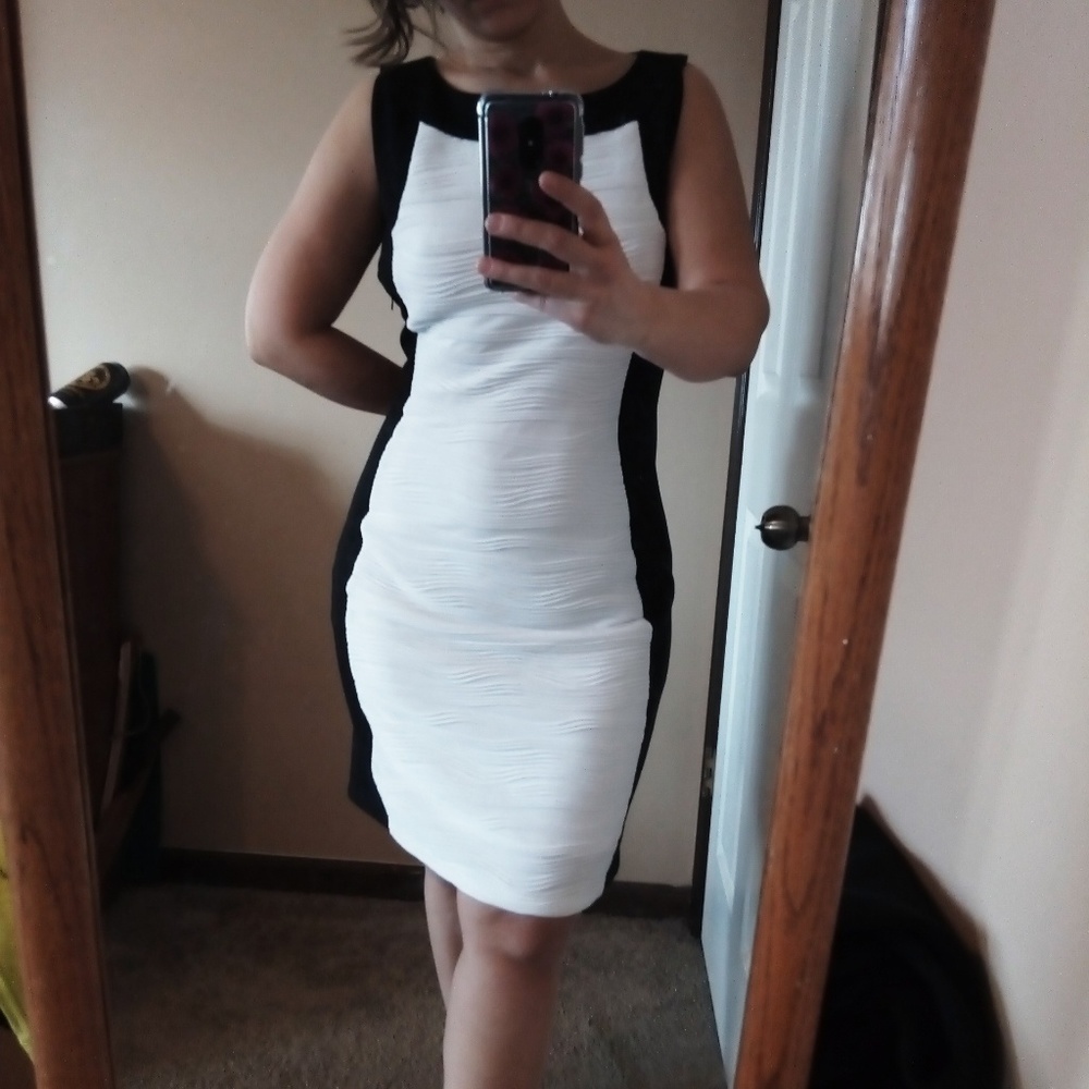 Calvin Klein Black and White Fitted Dress